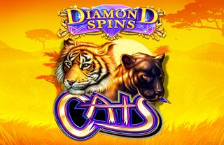 Cat Spins Casino Plattform – Test und Erfahrungen für Spieler aus Deutschland