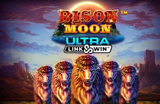 The Moonwin Casino Page: Seamless Online Casino Login for Players from Canada